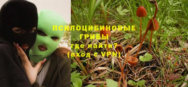 ECSTASY Иннополис